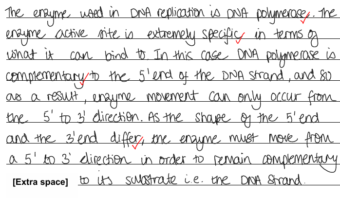 <ul><li><p>reference to DNA polymerase</p></li><li><p>which is specific</p></li><li><p>only complementory with 5’ end</p></li><li><p>shapes of 5’ end and 3’ end are different</p></li></ul><p></p>