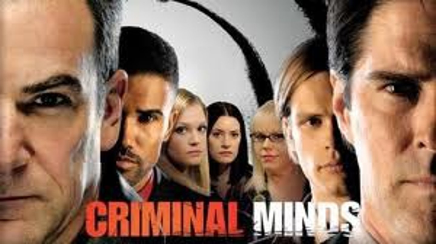 <p>detective movie</p>