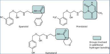 <p>incorperate extended amine substituent - idea that interact with another part of the β₁ receptor - fill hydrophobic pocket, have selectivity, logP issues </p>
