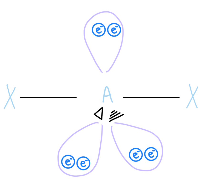 <p>AX2E3, sp3d hybridized</p>