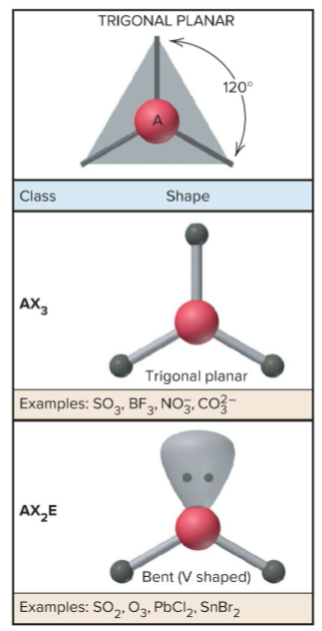 <p>trigonal planar</p>