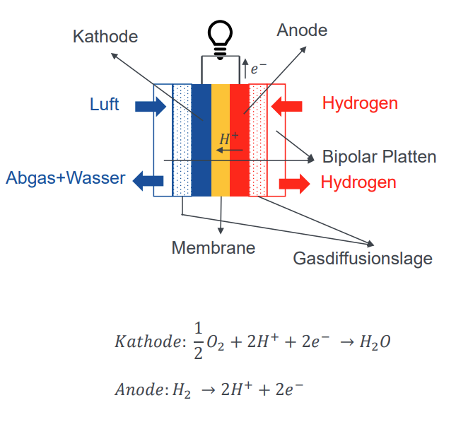 <p><strong>Bipolar-Platten</strong> links und rechts außen; <strong>Membran </strong>trennt Zelle in der Mitte (<strong>H+ Transport</strong> von Anode zu Kathode); <strong>Kathode &amp; Anode</strong> liegen an Membran &amp; sind an Stromkreis angeschlossen (<strong>e- </strong>von Anode zu Kathode); <strong>Gasdiffusionslage </strong>zu Bipolar-Platten;</p><p><strong>Kathodenseite</strong> geht <strong>Luft rein und Abgas + Wasser raus</strong></p><p><strong>Anodenseite</strong> geht <strong>Wasserstoff </strong>rein und raus</p><p><strong>Reihenschaltung </strong>der einzelnen Zellen → Spannung addiert sich</p>