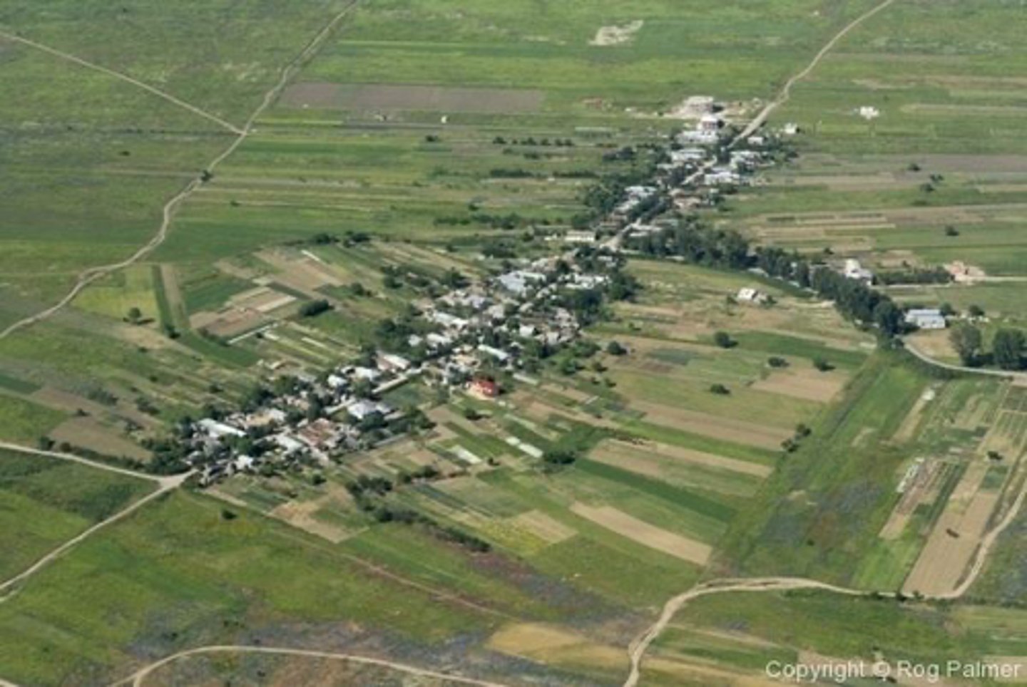 <p>when houses are positioned in a linear fashion along roads. canals, or rivers</p>