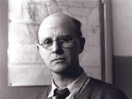 <p>animal ecology</p>