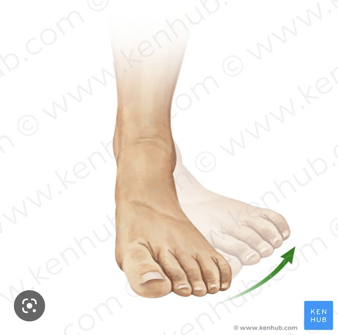 What’s the name of this movement