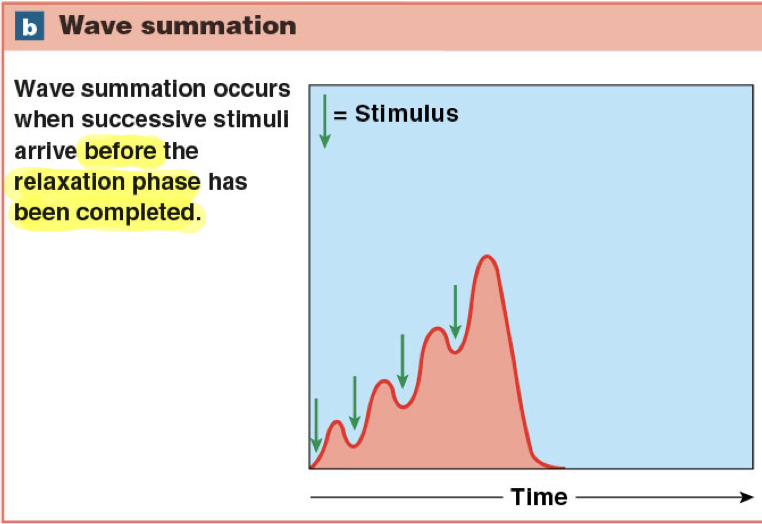 Wave summation 