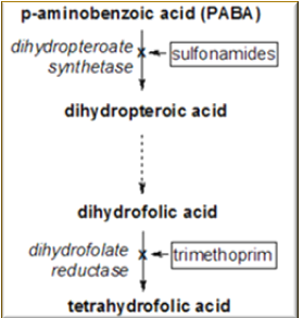 <p>Trimethoprim</p>