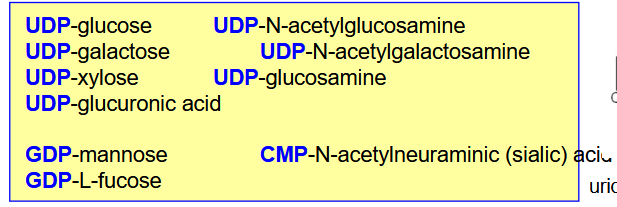 <ul><li><p>Monosaccharides added one at a time </p></li><li><p>have to be in a nucleotide-activated form.</p></li><li><p>most frequently = UDP, but can be GDP or CMP.</p></li><li><p>The nucleotide-activated form is specific for a given monosaccharide.</p></li></ul><p></p><p></p>