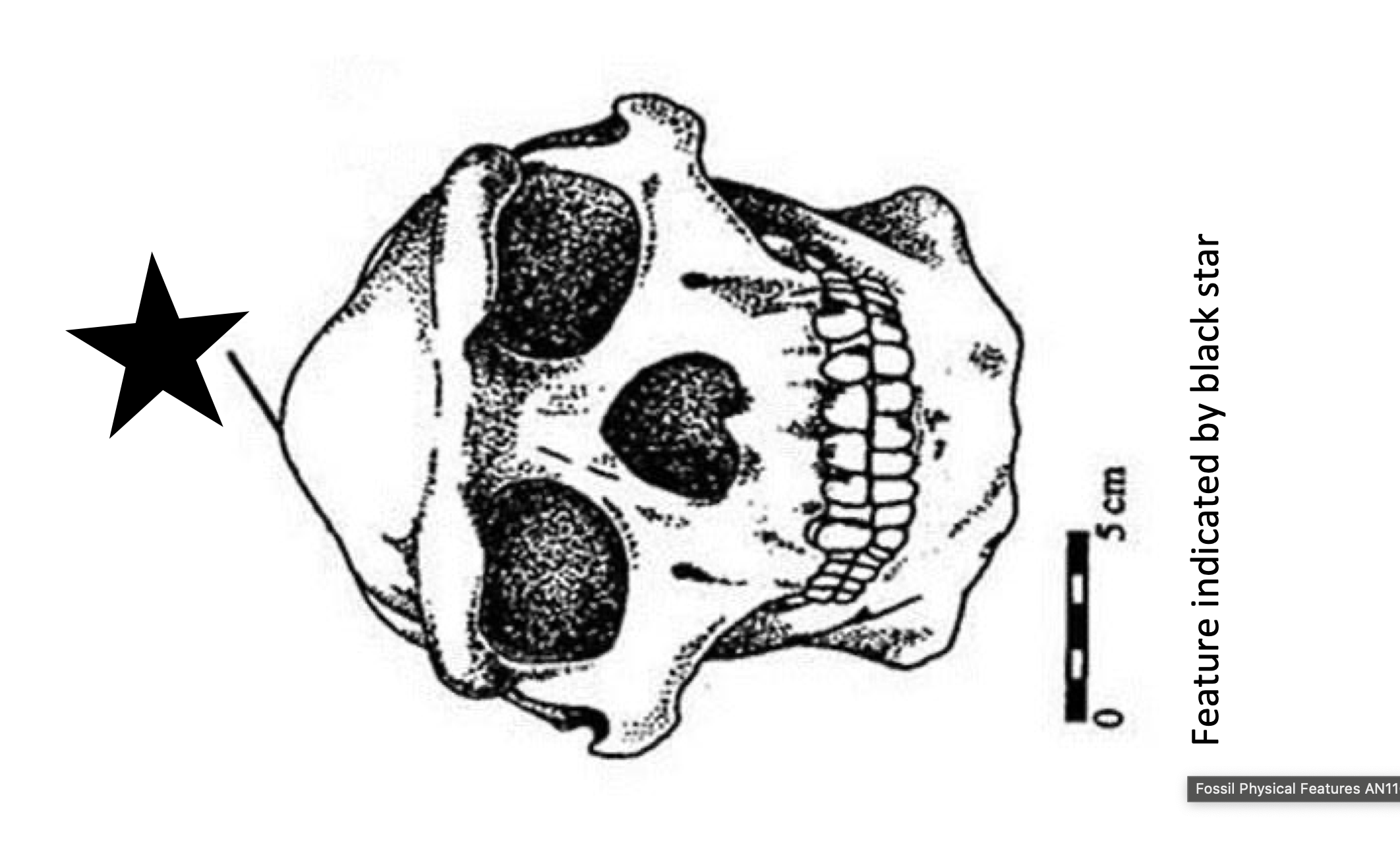 <p></p>