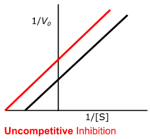 <p><u>Enzyme Kinetics - Uncompetitive Inhibition</u></p><p>Does uncompetitive inhibition change the y-intercept?</p><p>Does uncompetitive inhibition change the x-intercept?</p>