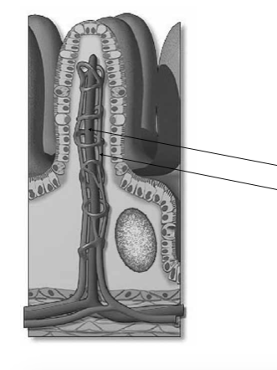 <p>what is this?</p>