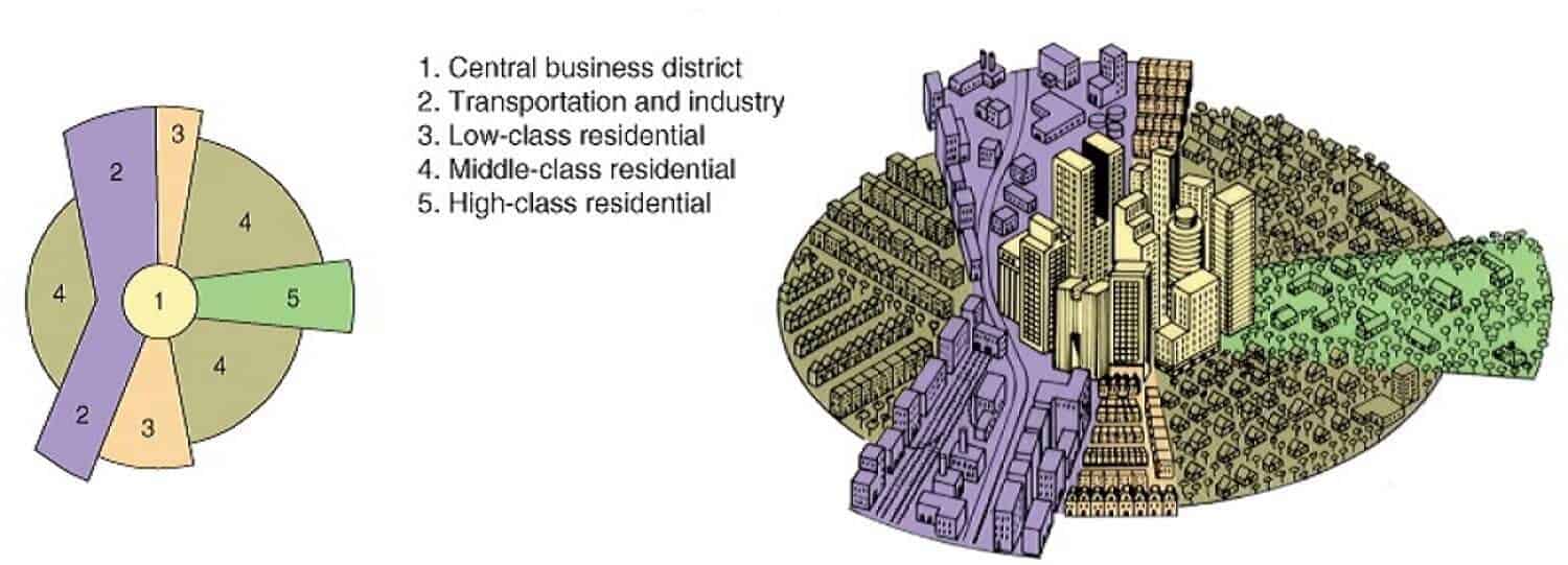 <p>A city structure model where development expands in sectors from the CBD, often following transportation lines. Example - High-income housing often develops along desirable corridors, like waterfronts or highways.</p>