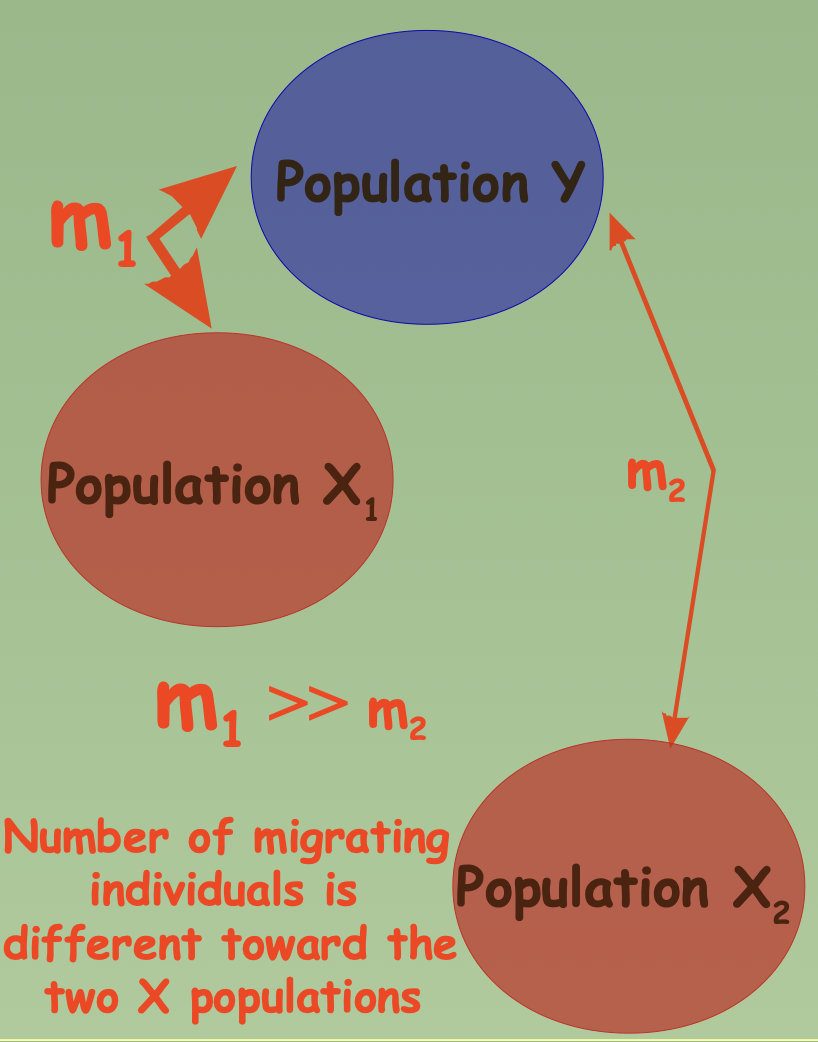 Genetic difference increases with distance