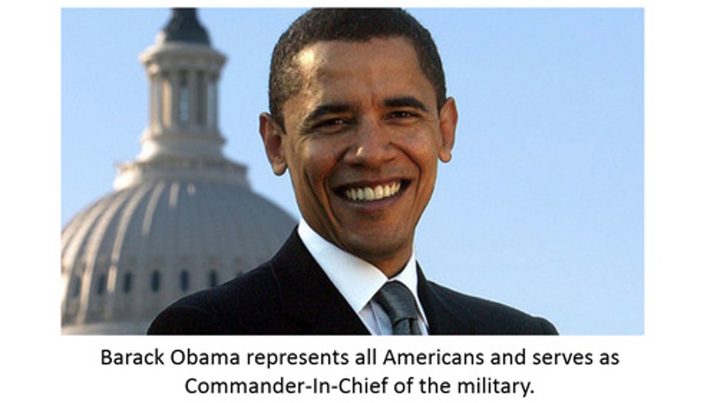 <p>In the Executive Branch, who has the power to enforce laws, sign treaties with other nations, and make war?</p>