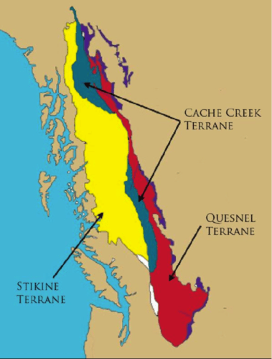 <p>block of land that collided with a continent along a convergent margin & attached to it; not originally part of continent</p>