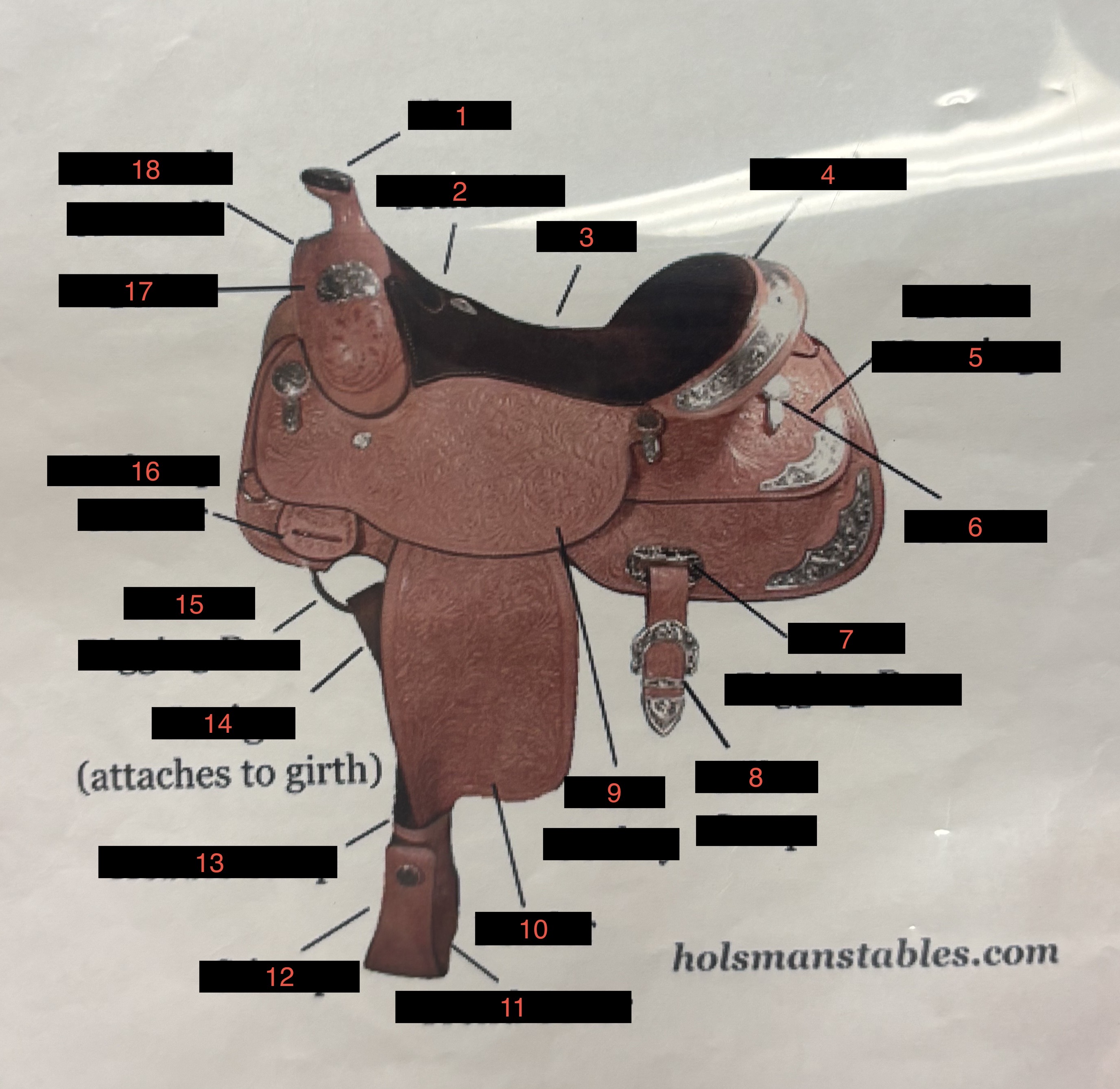 <p>Western Saddle Parts: What is #10</p>