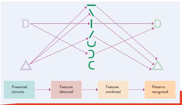 Feature Analysis Diagram