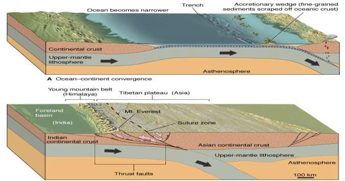 <ul><li><p>a geological boundary where two distinct tectonic plates or terranes have collided and fused together</p></li><li><p>i.e., oceans close until continents come together at a suture</p></li></ul><p></p>