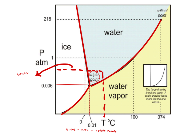 <p>Y curve</p><p></p>