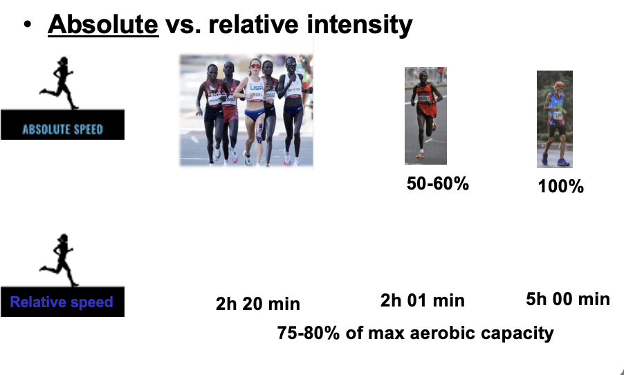 <ul><li><p><strong>Absolute intensity</strong> = the external workload or speed performed (same weight, same pace, same power output for everyone).<br>• Example: running at 10 mph or lifting 100 lb<br>• Does <strong>not</strong> account for individual fitness</p></li><li><p><strong>Relative intensity</strong> = how hard that workload is <strong>relative to an individual’s max capacity</strong> (%VO₂max, %HRmax, %1RM).<br>• Example: 75–80% VO₂max or 80% 1RM<br>• <strong>Determines muscle fiber recruitment</strong></p></li><li><p>At the <strong>same absolute intensity</strong>, individuals may recruit different fibers.<br>At the <strong>same relative intensity</strong>, fiber recruitment is similar:<br>• Low relative intensity → <strong>Type I (slow-twitch)</strong><br>• High relative intensity → <strong>Type II (fast-twitch)</strong></p></li></ul><p></p>