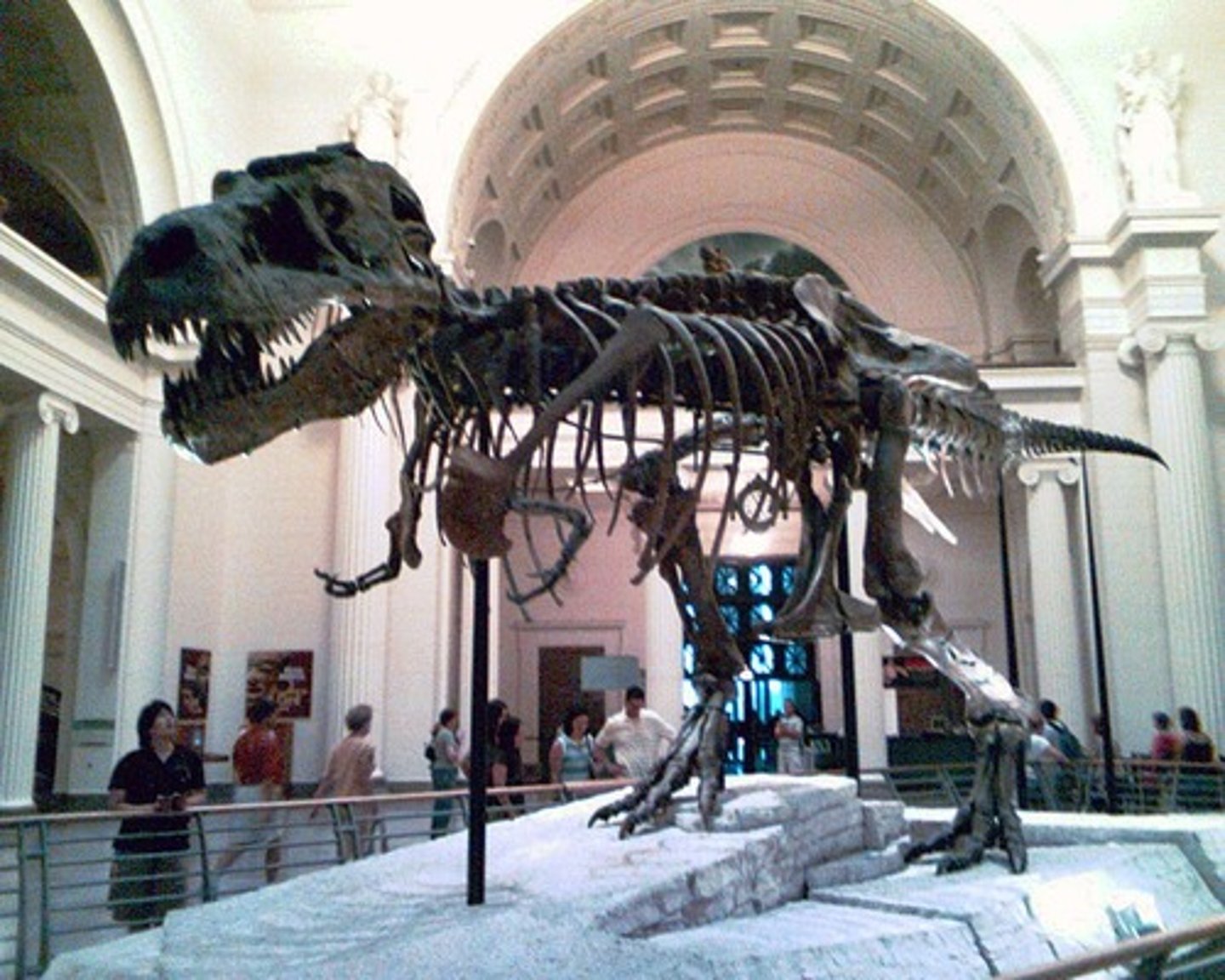 <p>Species with no living members.</p>