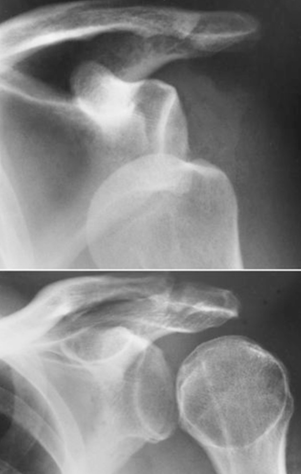 <p>What are these pictures of?</p>