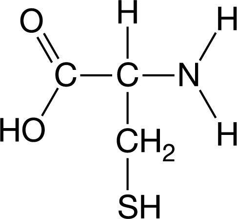 <p><span>Which of the following best describes the effect of a greater number of cysteine amino acids on the stability of the proteins?</span></p>