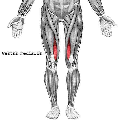 extends knee