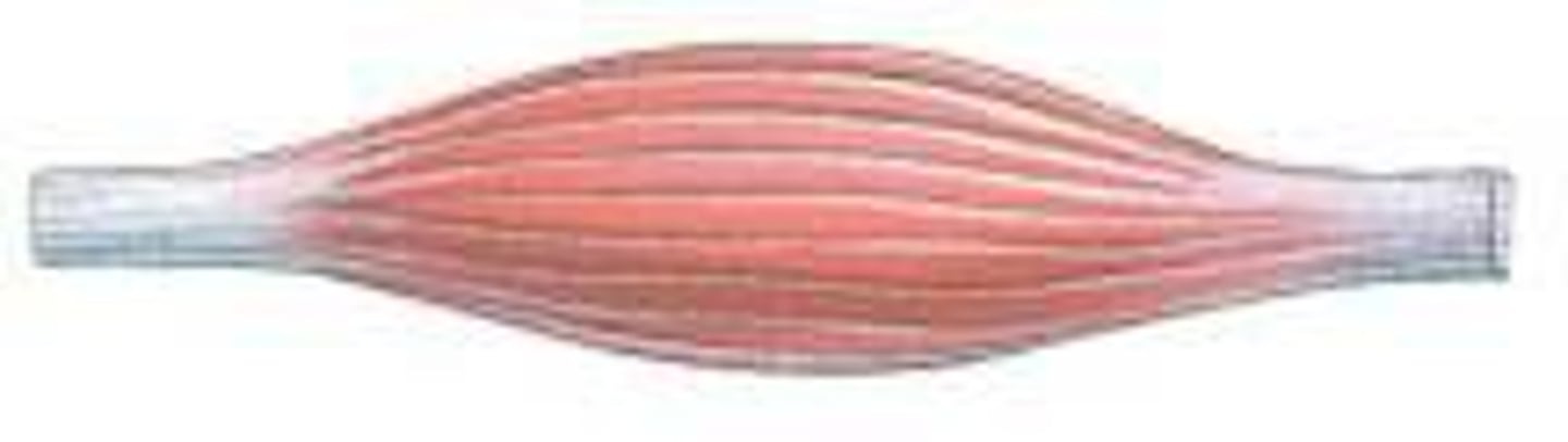 <p>What is this?</p>