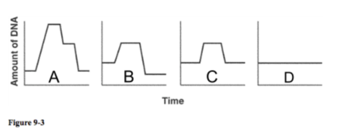 Which of the graphs in figure 9-3 shows the correct changes in the amount of DNA in call as it moves through one cell cycle?