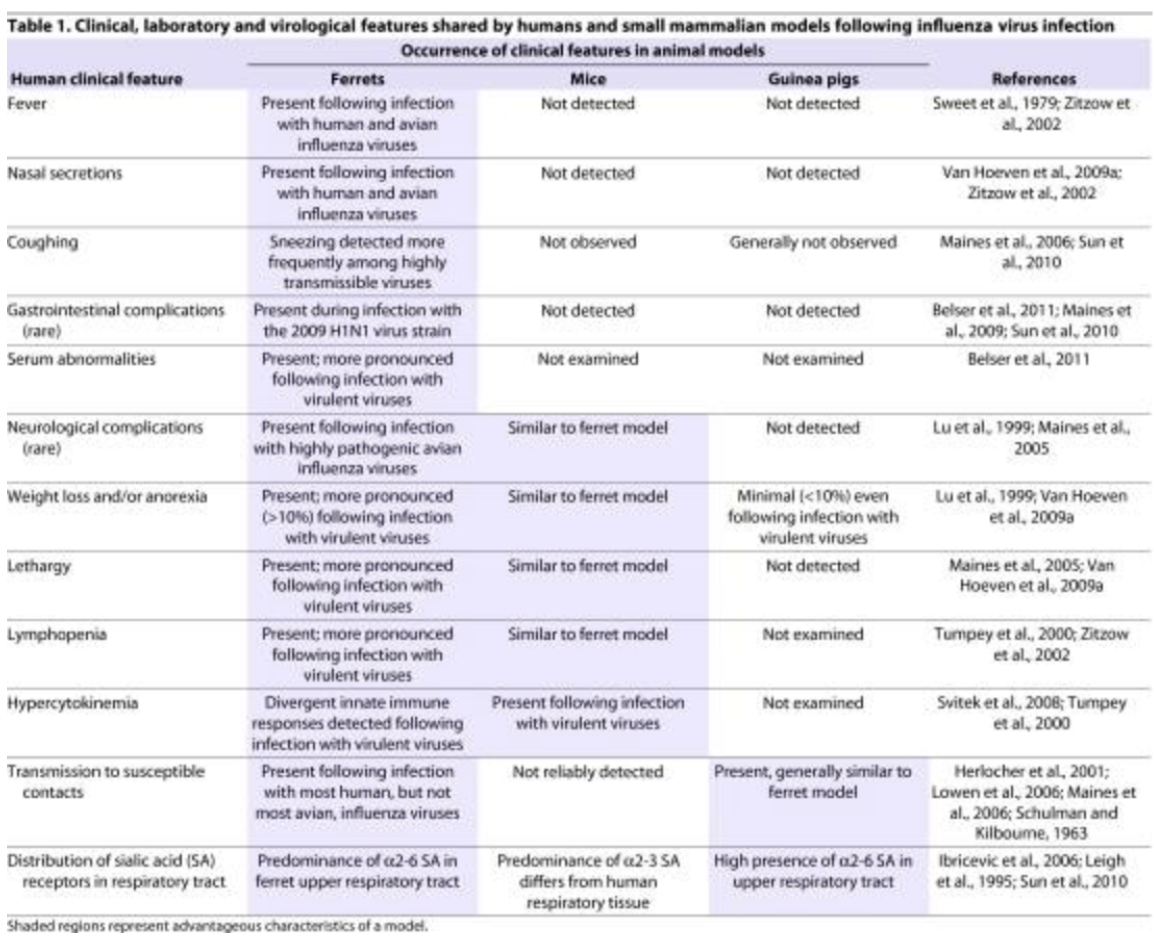 <ul><li><p><strong>Ferrets</strong></p></li><li><p>Human clinical features following IV <strong><em><u>fnc gstd nw</u></em></strong></p><ul><li><p>Fever</p></li><li><p>Nasal secretions</p></li><li><p>Cough</p></li><li><p>Gastrointestinal complications</p></li><li><p>Serum abnormalities</p><p><em><u>*shared with guinea pigs</u></em></p></li><li><p>Transmission to susceptible contacts</p></li><li><p>Distribution of sialic acid (SA) receptors in respiratory tract</p><p><em><u>*shared with mice</u></em></p></li><li><p>Neurological complications</p></li><li><p>Weight loss/anorexia</p></li></ul></li></ul><p></p>