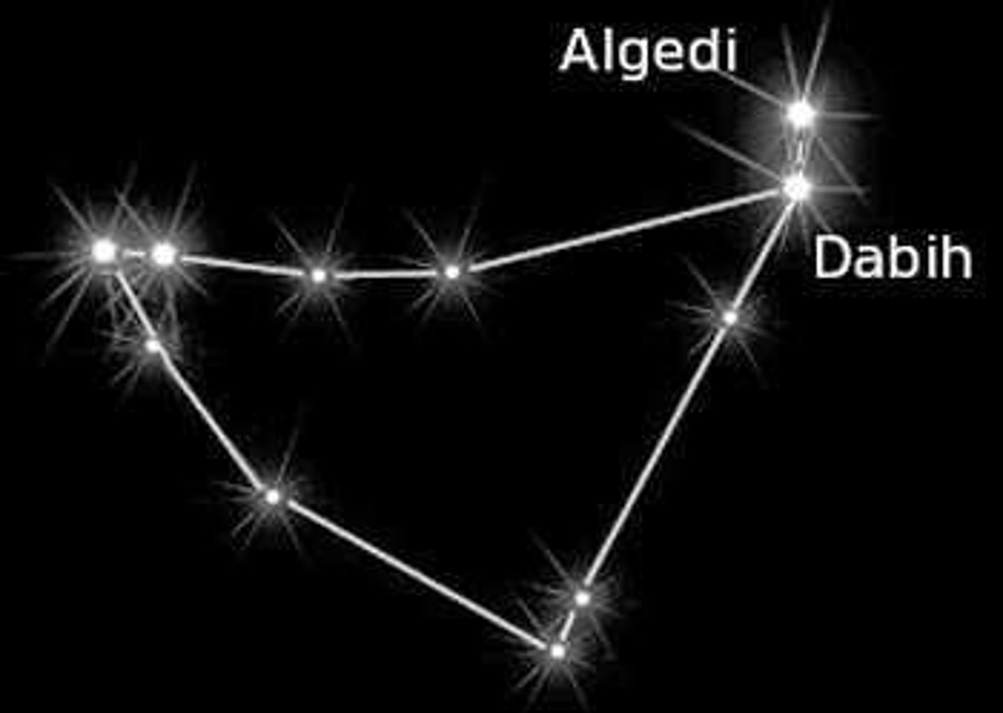 <p>sea goat / brightest star: Delta Capricorni (δ Cap)</p>