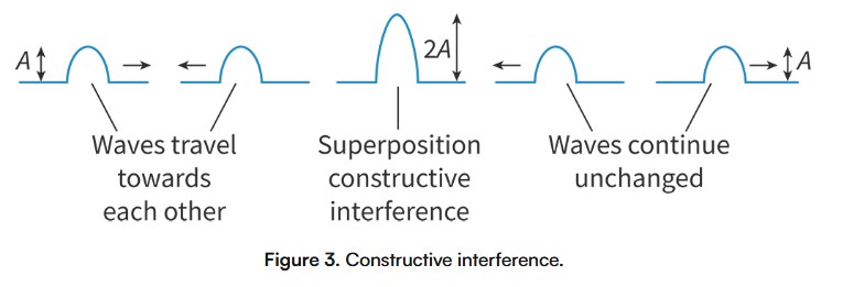 <p><span>Occurs when two waves meet in phase (crests meet crests and troughs meet troughs), resulting in a wave with increased amplitude.</span></p><ul><li><p><span>To determine the displacement of the resultant wave, we add together the displacements of the individual waves.</span></p></li></ul><p></p>