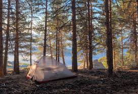 <p>Camp</p>