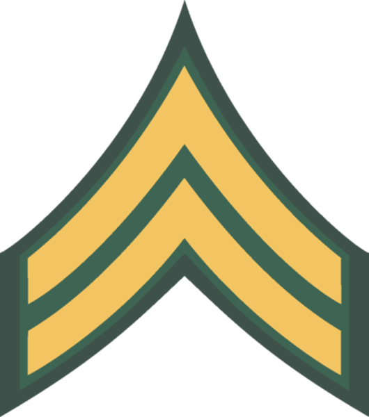 <p>2 Chevrons</p>