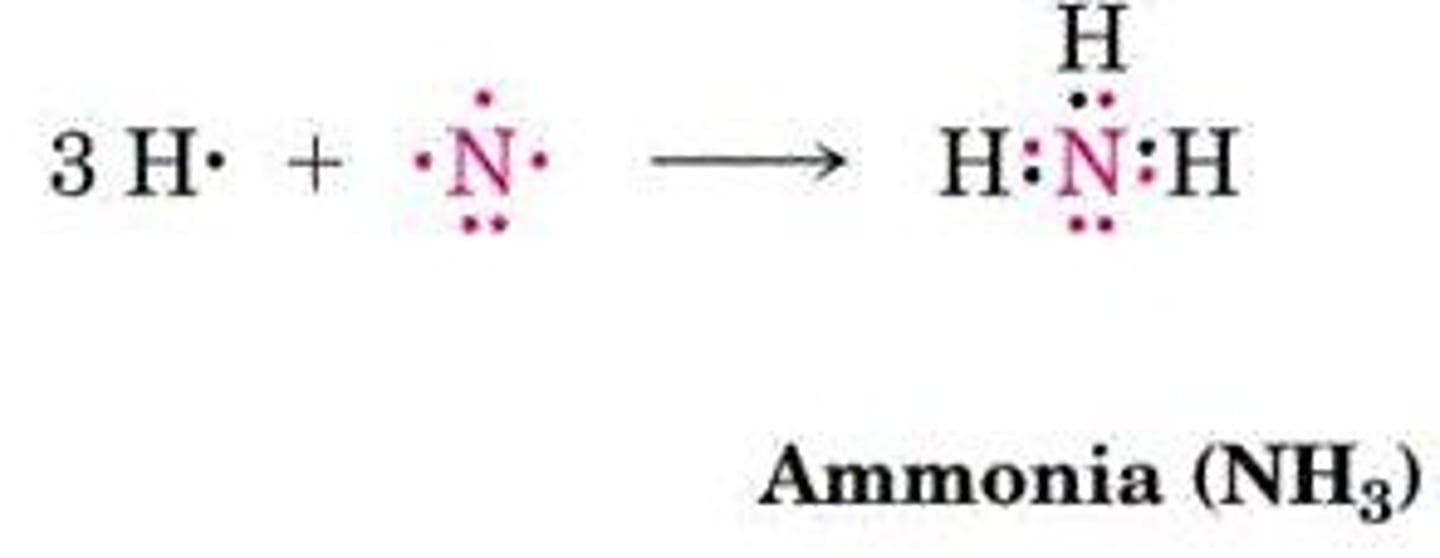<p>Nitrogen forms three bonds with one lone pair.</p>