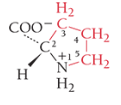 <p>What is the name of the amino acid?</p>