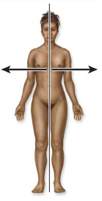 <p>What the directional terminology for this direction?</p>