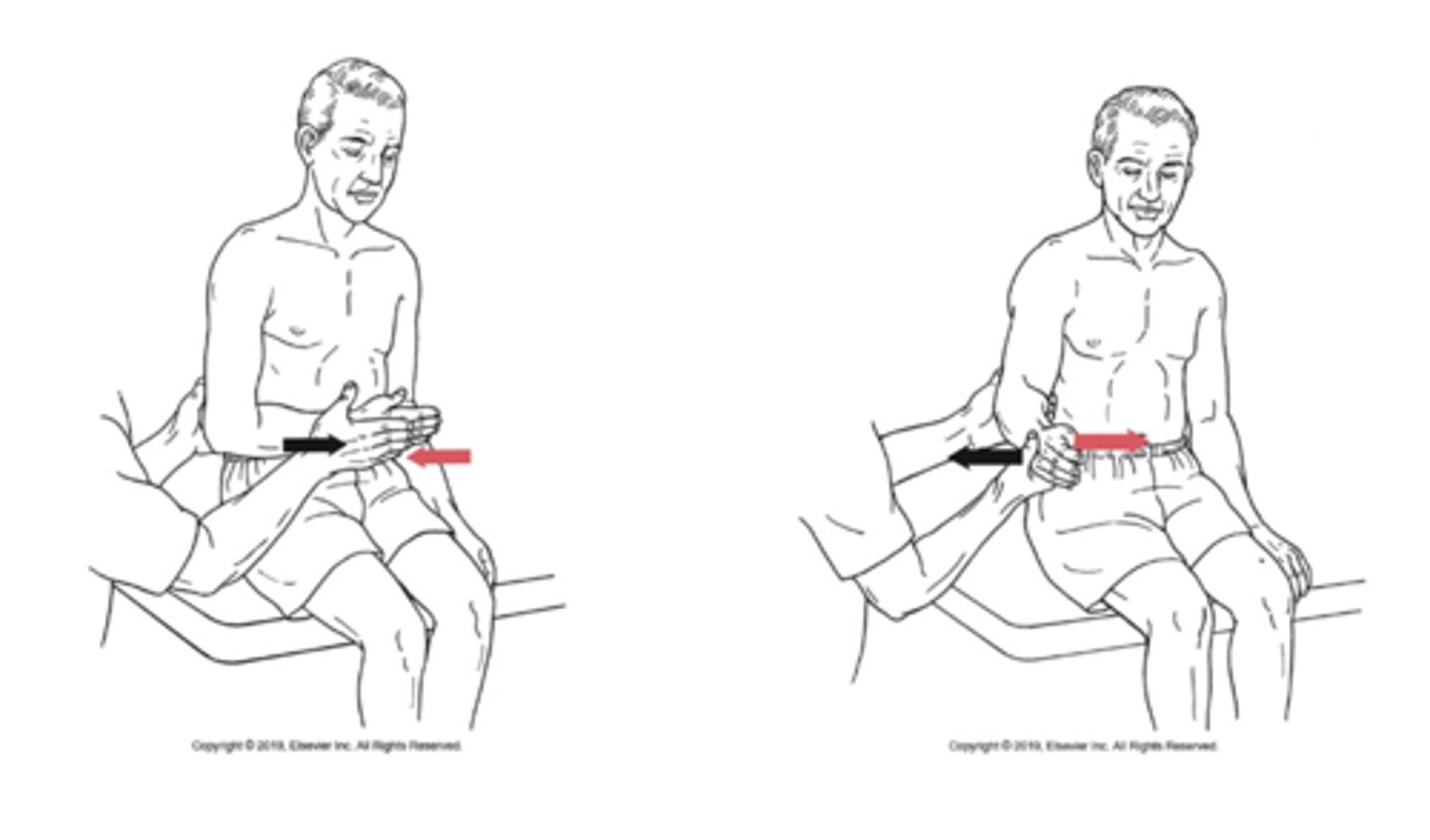 <p>What is being tested in this image?</p>