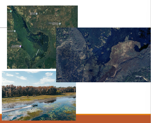 <p><span><span>Regularly inundated freshwater herbaceous wetlands.</span></span></p><p><span><span>Contrast to depression marshes are not small or shallow</span></span></p><p><span><span>Occur in mostly isolated depressions from old lakes, or times embayment's during higher sea levels.</span></span></p><p><span><span>Water source is mostly from rainfall.</span></span></p>