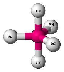 <p></p><p>trigonal bipyramidal </p>