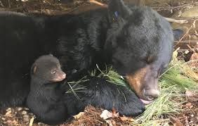 <p><strong>Hibernate</strong></p>