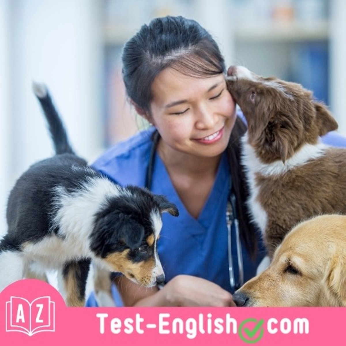 <p>She is _____, like her dogs. She is kind and likes to be with people.</p>