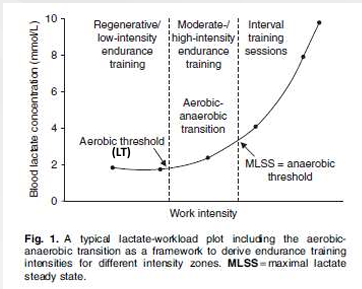 <ol><li><p>Low intensity&nbsp;</p></li><li><p>Moderate&nbsp;</p></li><li><p>Severe (Domain)</p></li></ol><p></p>
