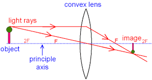 <ol><li><p>draw a ray from top of the object straight through optical centre</p></li><li><p>draw a ray from top of the image parallel to the principle axis until it hits the lens plane</p></li><li><p>continue ray through focal point F</p></li><li><p>label image eg real, inverted and diminished</p></li></ol><p></p>