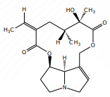 <p>[Alkaloids Compounds] What pyrrolizidine alkaloids is this</p>