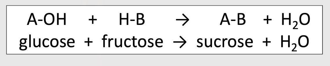 <p>Identify the reaction</p>