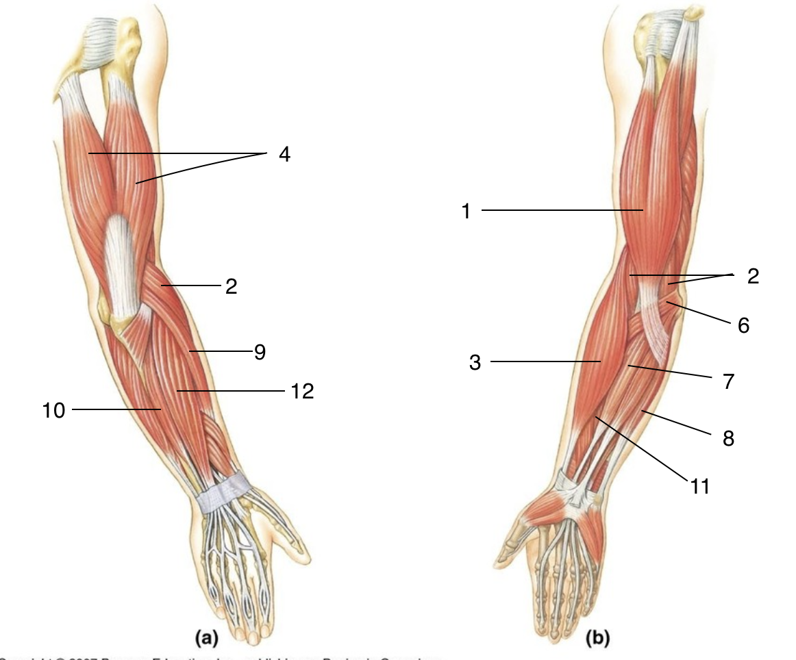 <p>1</p>
