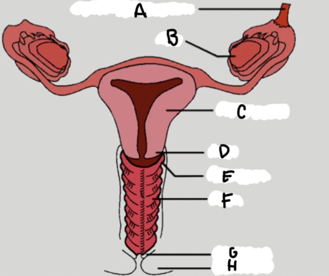 What is B?