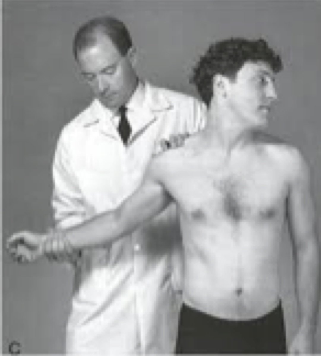 <p>applying downward traction on test shoulder</p>